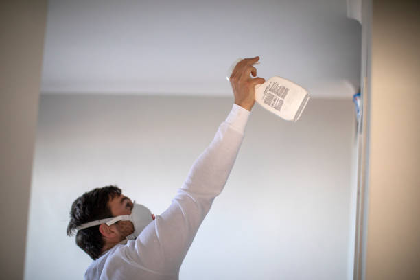 Best Commercial Mold Removal  in Muniz, TX