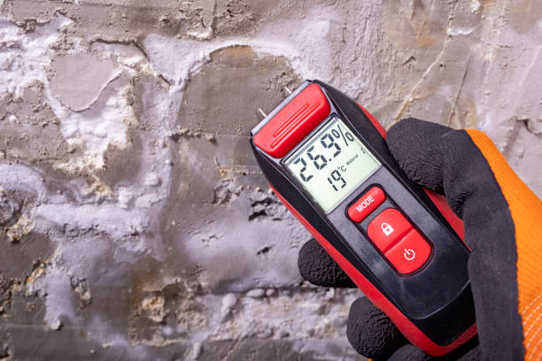 Best Fast Mold Removal  in Muniz, TX