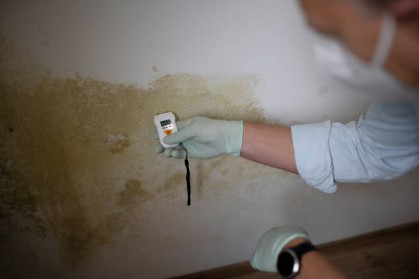 Best Mold Testing  in Muniz, TX